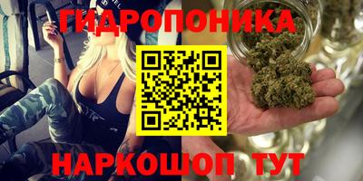 эйфоретик Ирбит