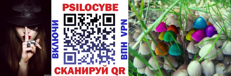 цена Кимовск Галлюциногенные грибы GOLDEN TEACHER