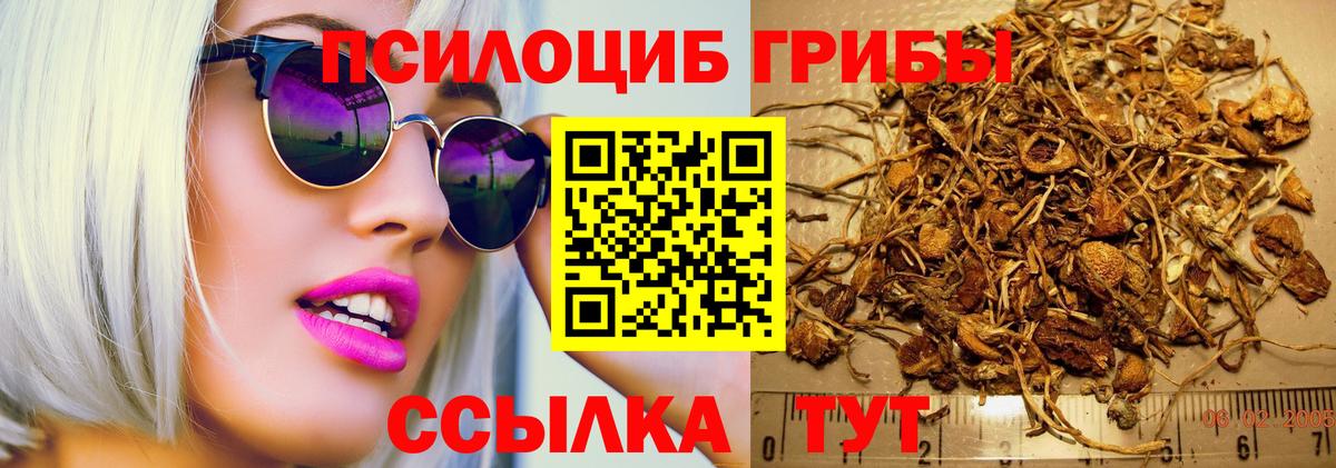 Галлюциногенные грибы Psilocybine cubensis  Вход с VPN  Кимовск 